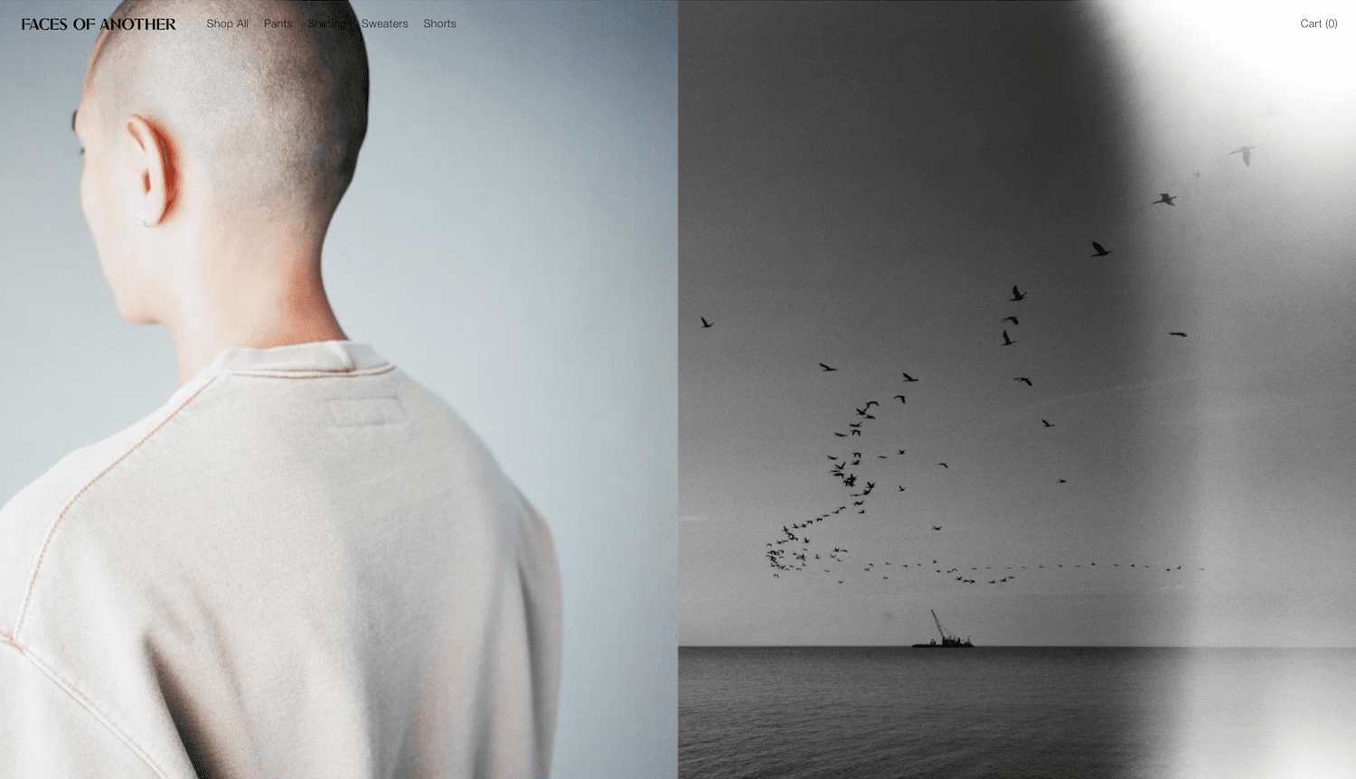 Faces Of Another screenshot 3