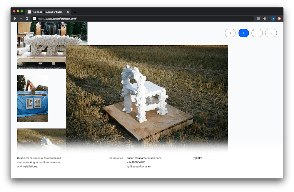 Susan for Susan screenshot 2